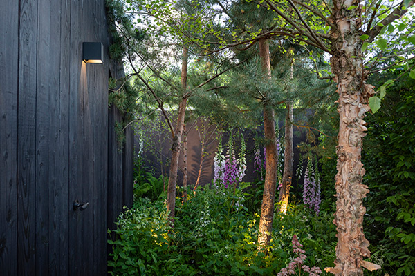 RHS Chelsea Flower Show 2022