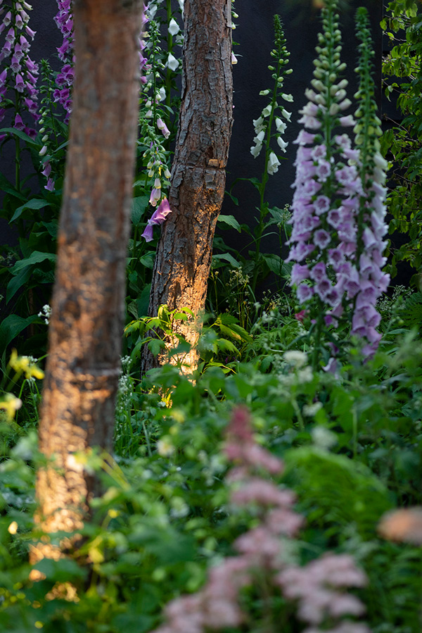 RHS Chelsea Flower Show, London
